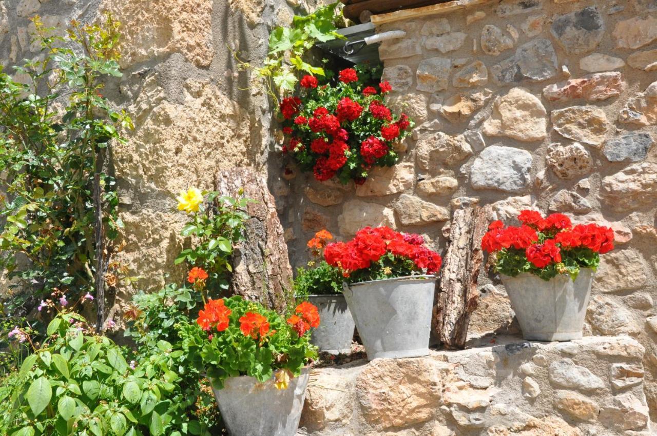 Casa Rural Moli De Fornols Hotell Eksteriør bilde